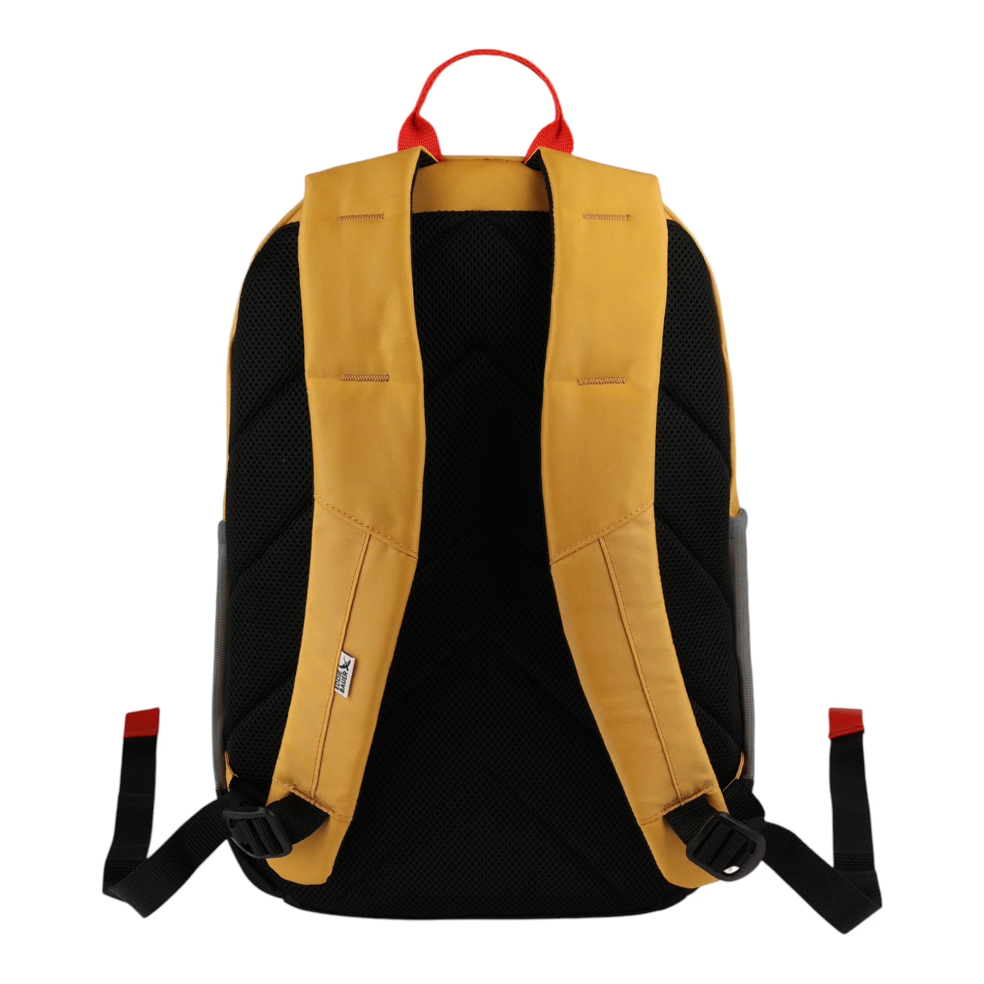 University 22L Backpack