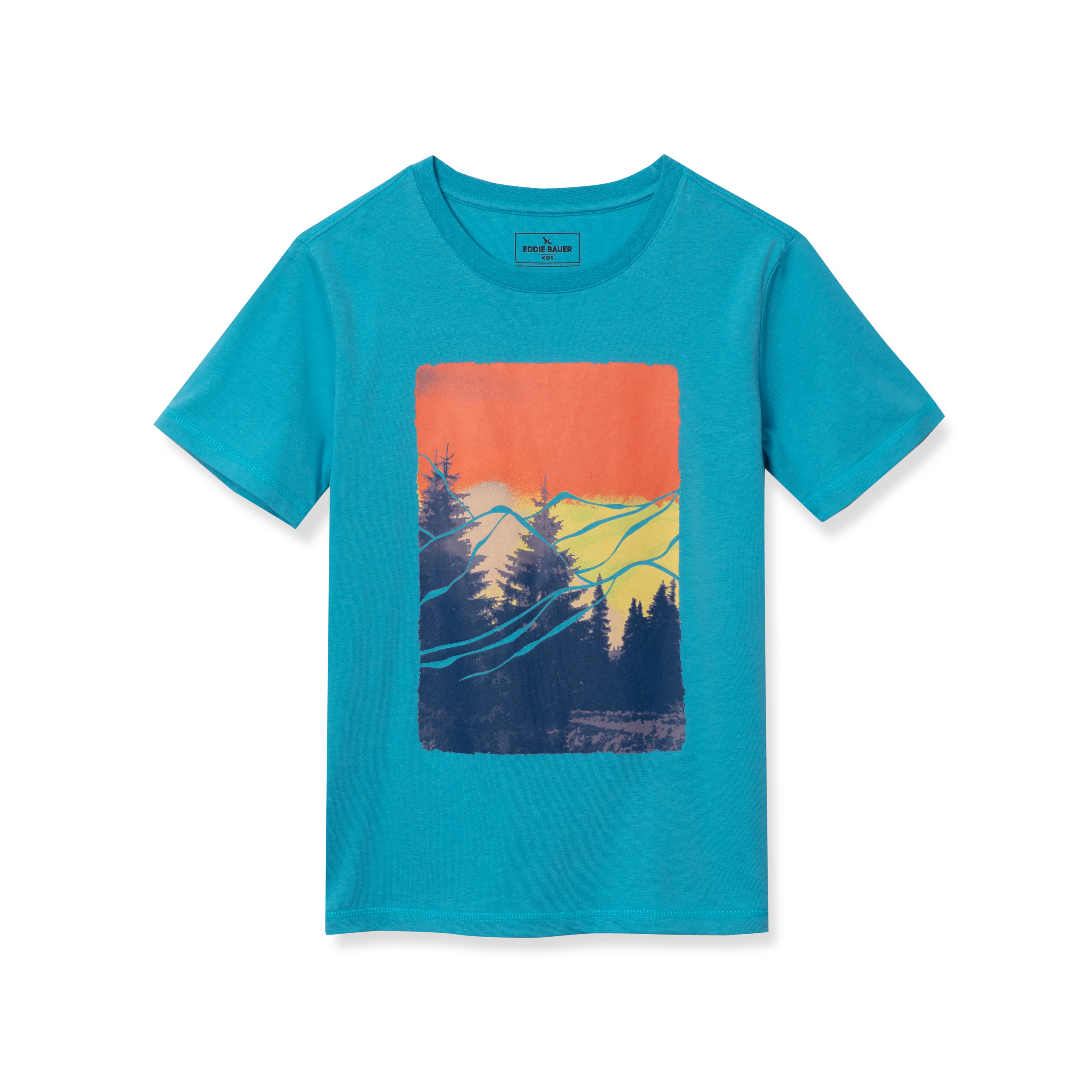 Boys Short Sleeve Graphic T-Shirt