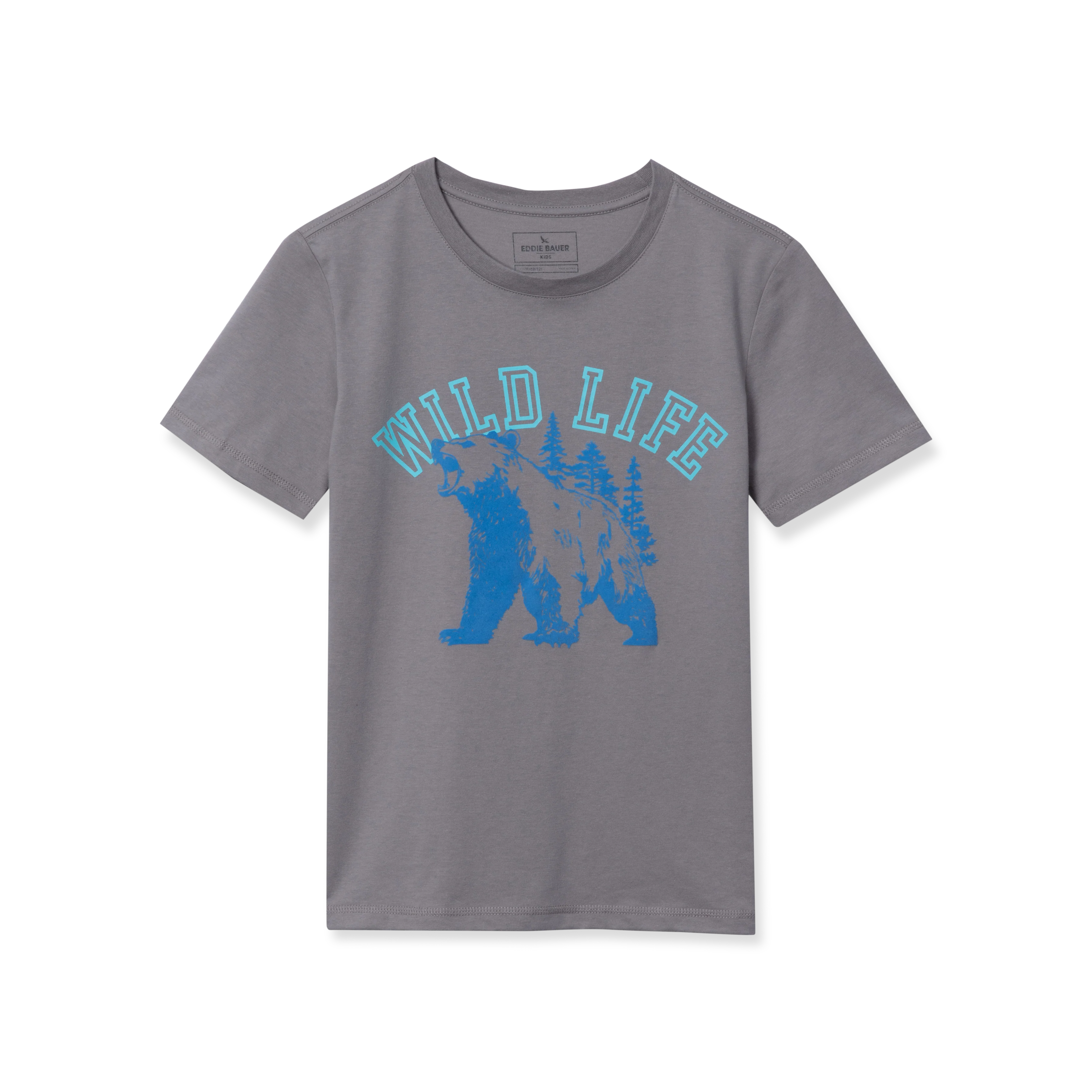 Boys Short Sleeve Graphic T-Shirt