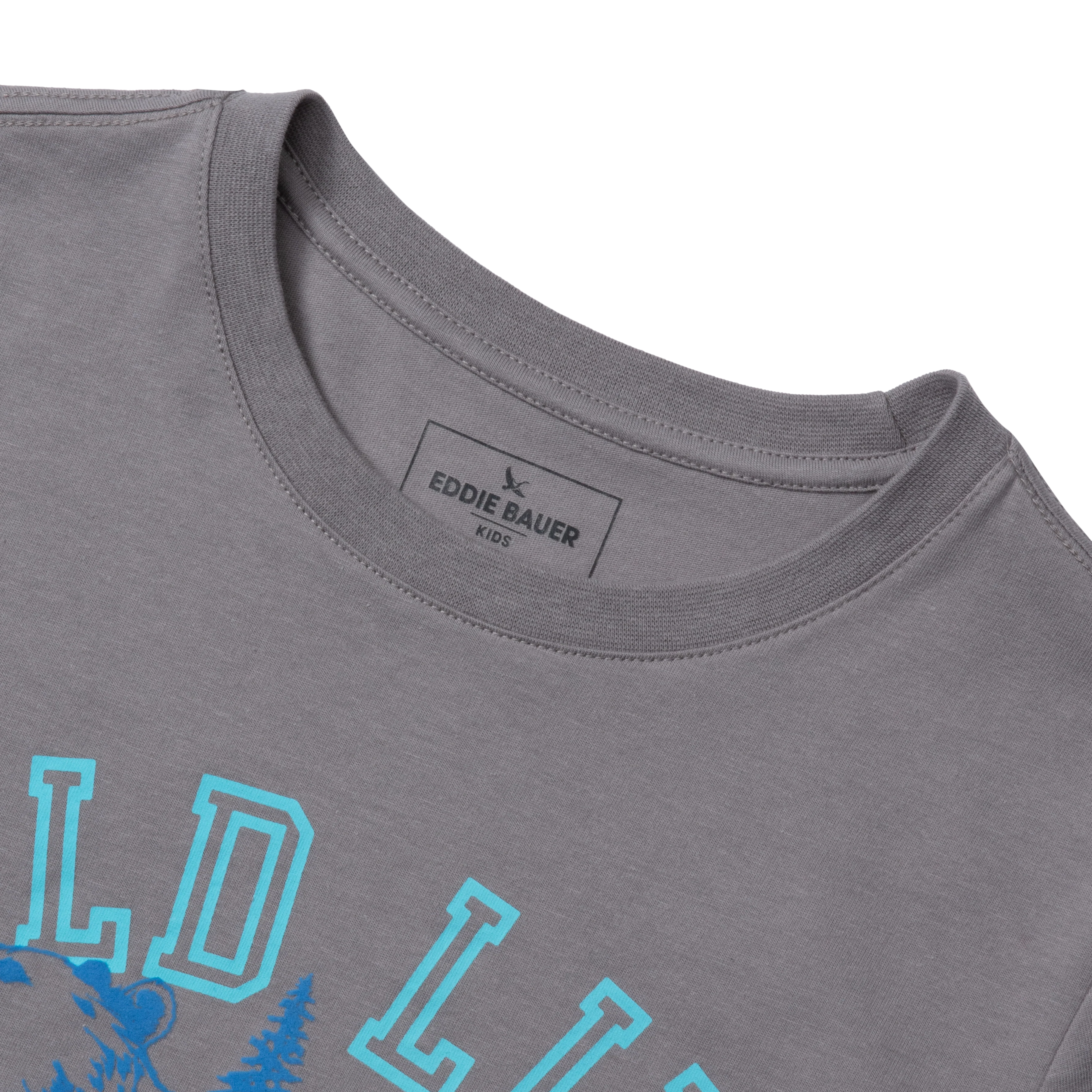 Boys Short Sleeve Graphic T-Shirt