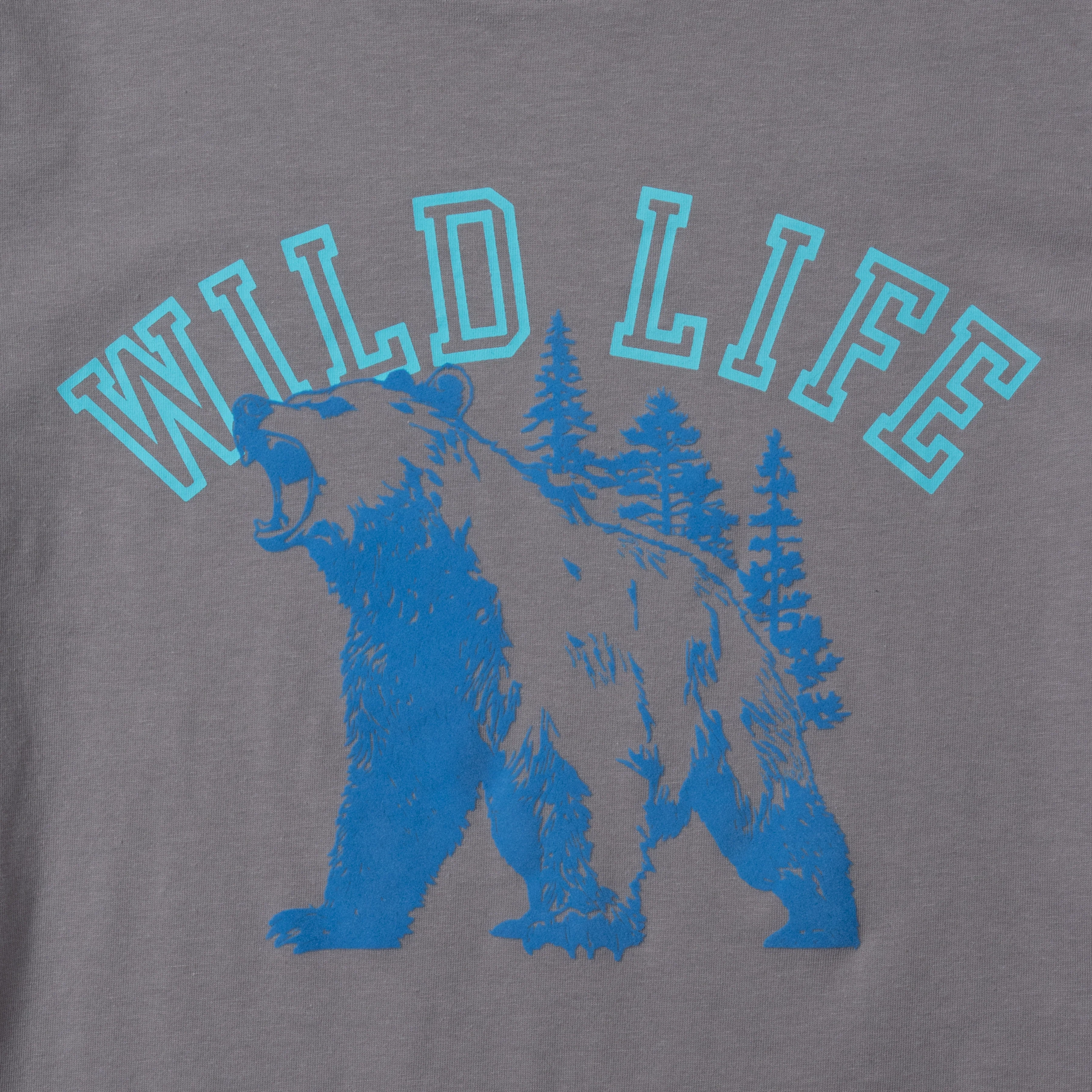 Boys Short Sleeve Graphic T-Shirt